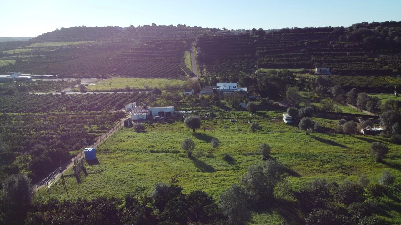 Terreno para Venda em Silves Foto 20