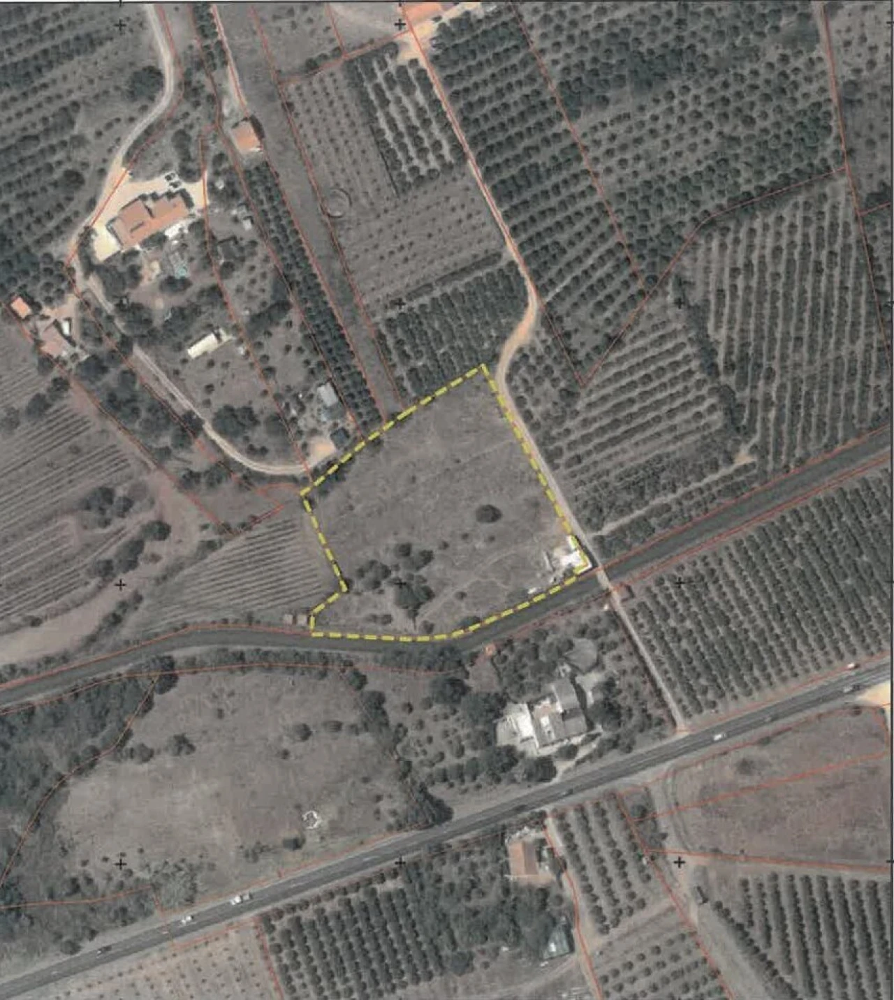 Terreno para Venda em Silves Foto 24