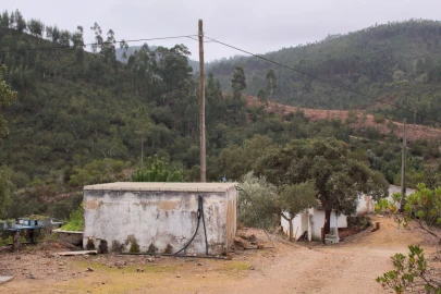 Quinta T3 para Venda em Monchique