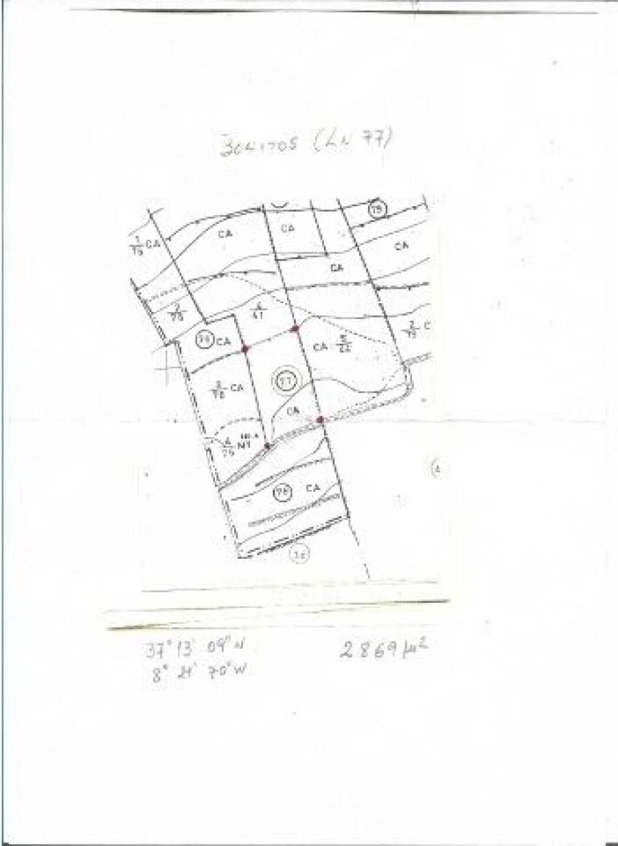 Terreno para Venda em Saboia Foto 10