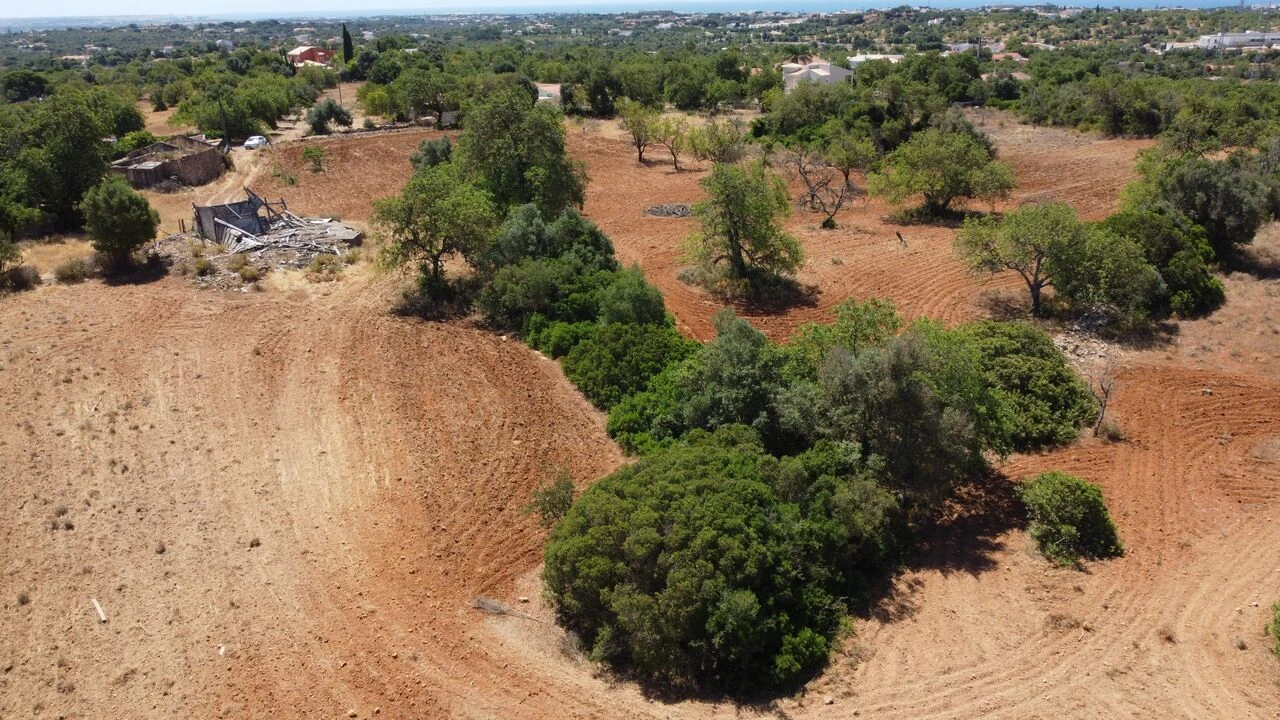 Terreno para Venda em Guia Foto 7