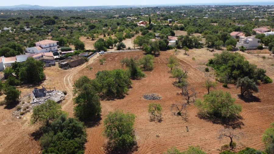 Terreno para Venda em Guia Foto 9