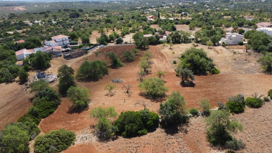 Terreno para Venda em Guia Foto 18