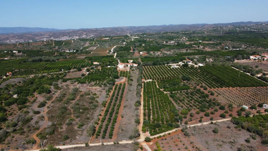 Quinta T3 para Venda em Silves Foto 21