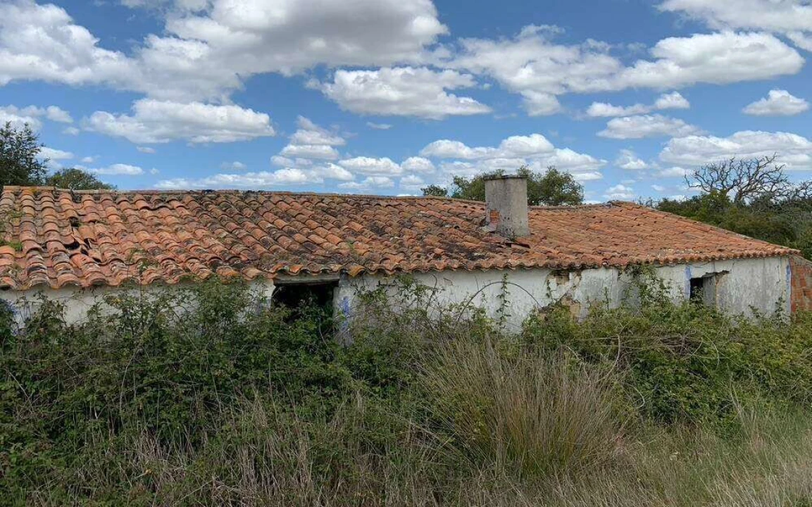 Terreno para Venda em São Teotónio Foto 6