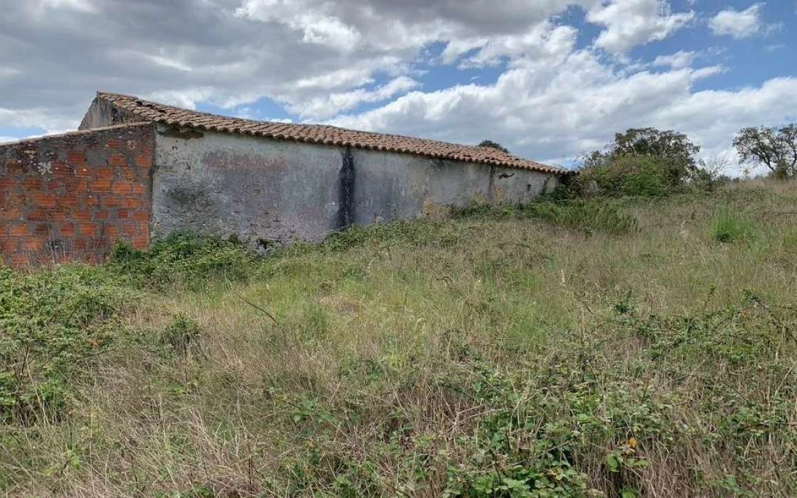 Terreno para Venda em São Teotónio Foto 7