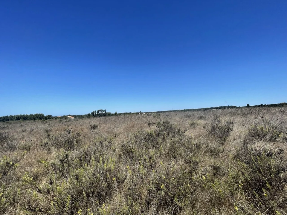 Terreno para Venda em São Teotónio Foto 14