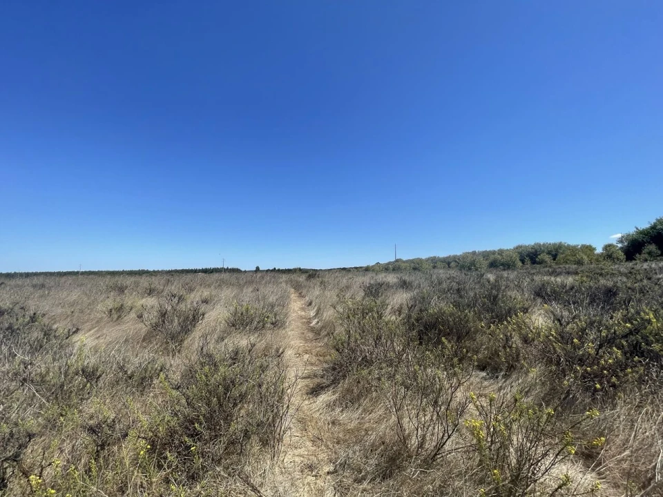 Terreno para Venda em São Teotónio Foto 16