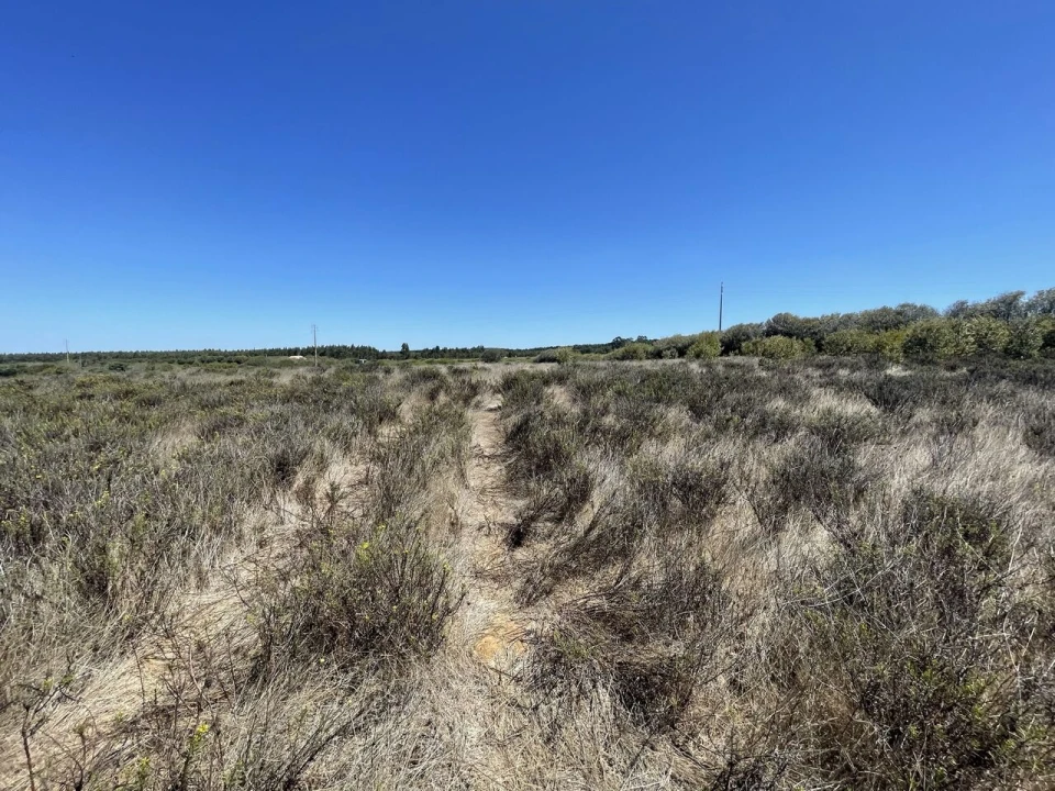 Terreno para Venda em São Teotónio Foto 17