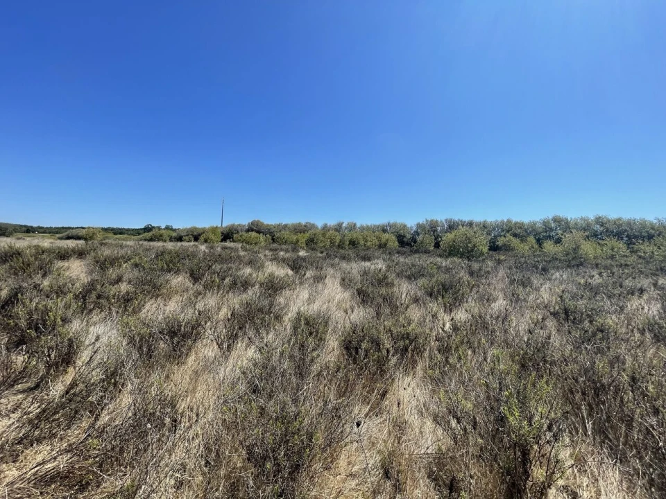 Terreno para Venda em São Teotónio Foto 18