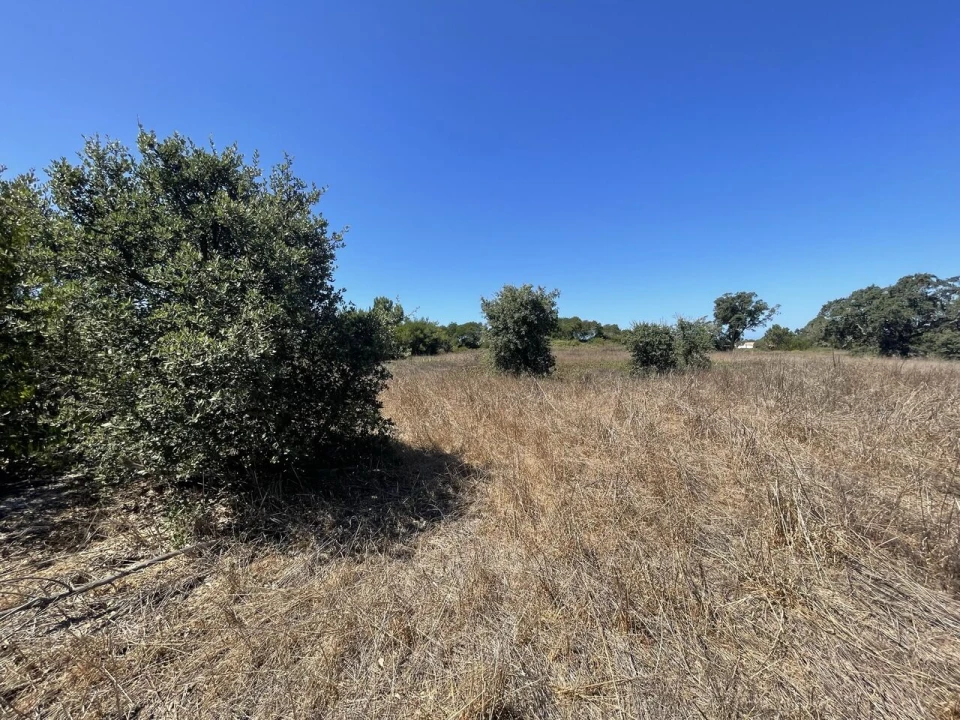 Terreno para Venda em São Teotónio Foto 22