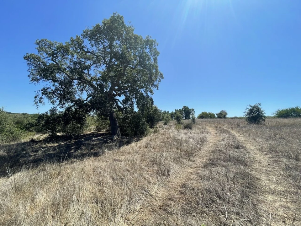 Terreno para Venda em São Teotónio Foto 23