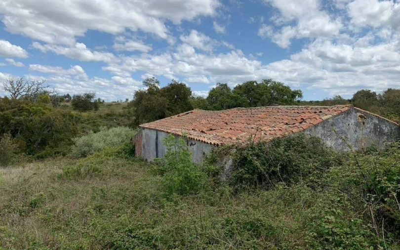 Terreno para Venda em São Teotónio