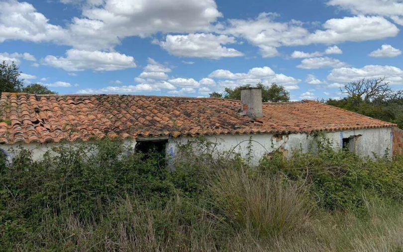 Terreno para Venda em São Teotónio Foto 6