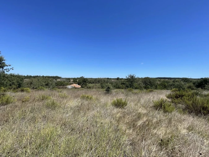Terreno para Venda em São Teotónio Foto 3