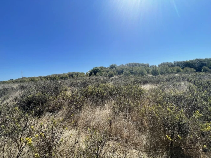 Terreno para Venda em São Teotónio Foto 15