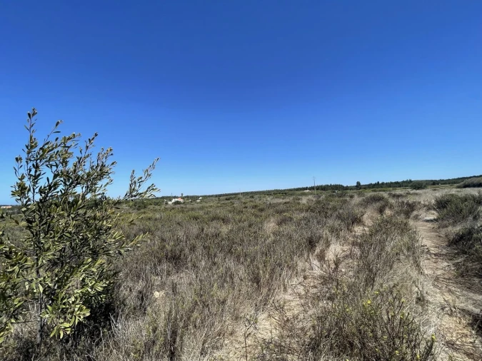 Terreno para Venda em São Teotónio Foto 19