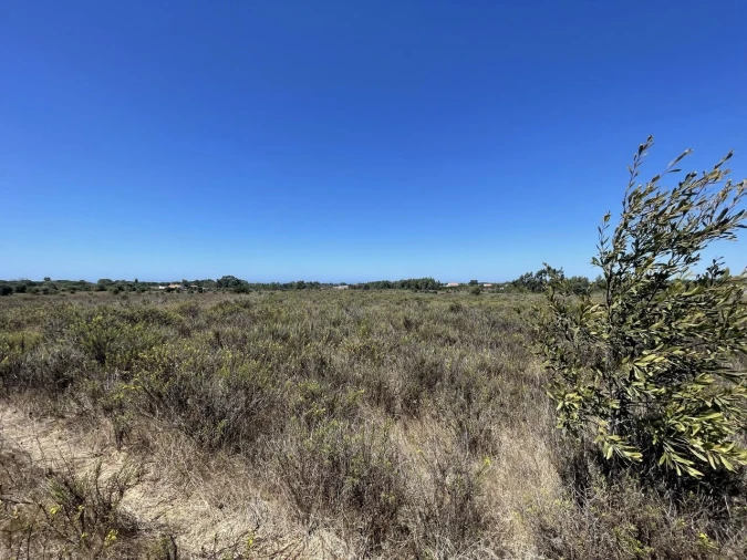 Terreno para Venda em São Teotónio Foto 20