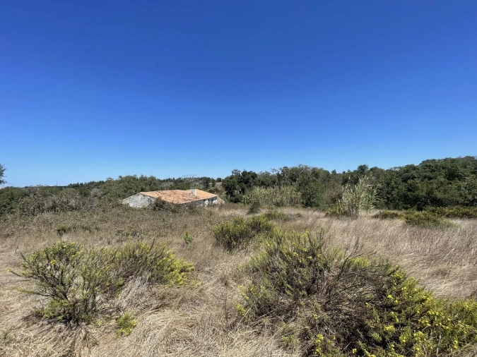 Terreno para Venda em São Teotónio Foto 24