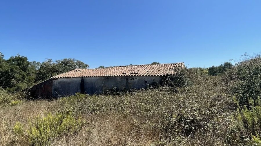 Terreno para Venda em São Teotónio