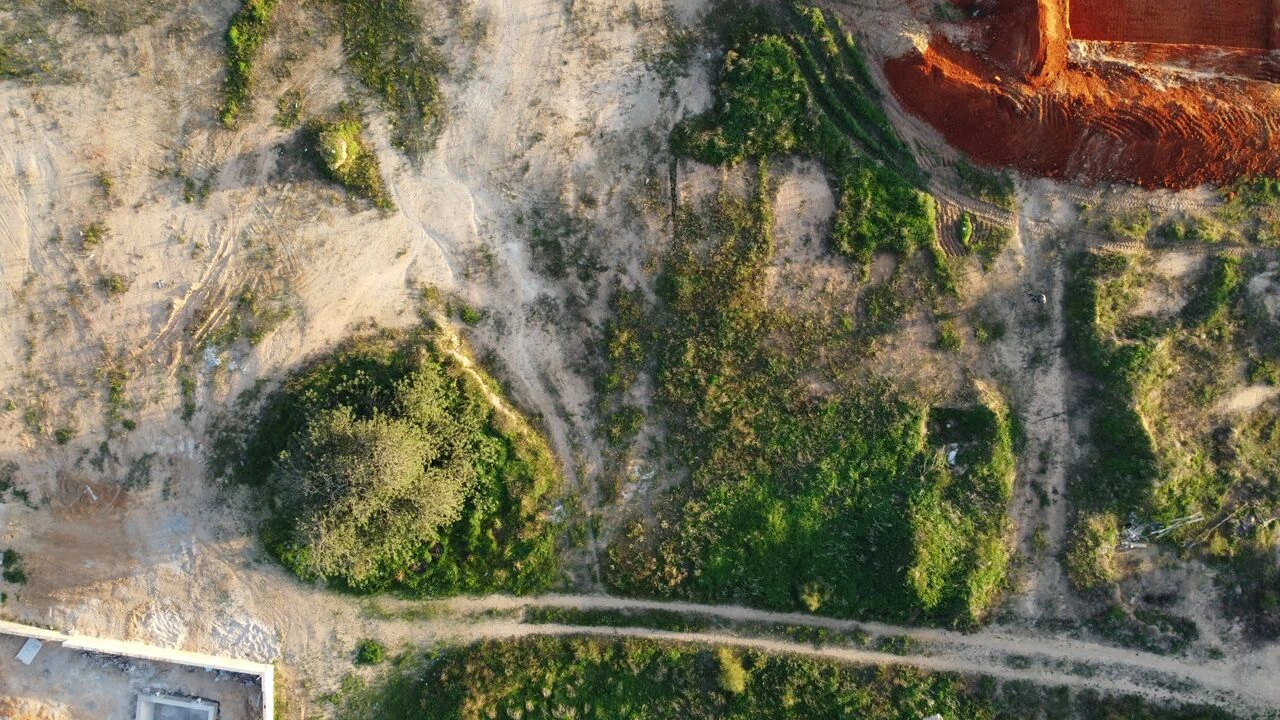 Terreno para Venda em Alcantarilha e Pêra Foto 5