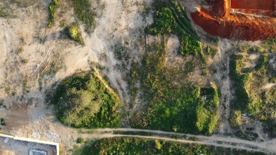 Terreno para Venda em Alcantarilha e Pêra Foto 5