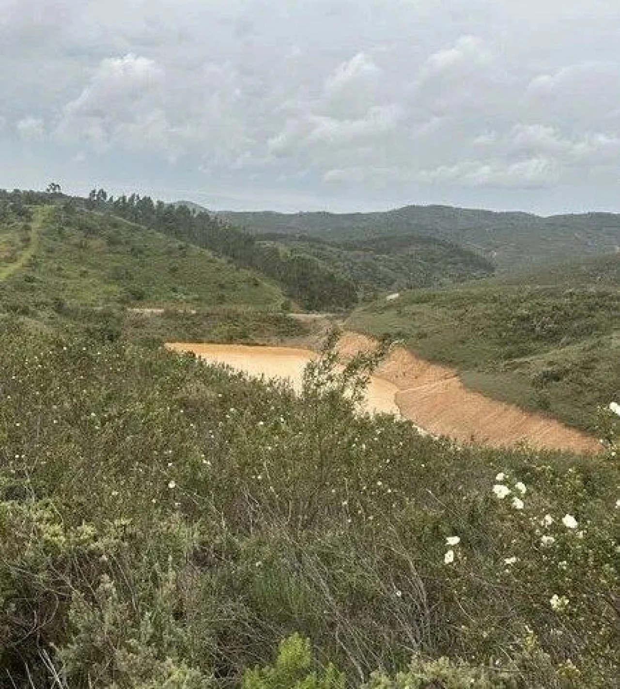 Terreno para Venda em São Marcos da Serra Foto 15