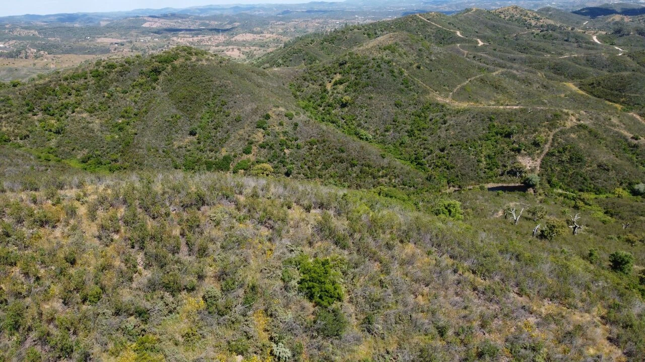 Terreno para Venda em São Marcos da Serra Foto 8