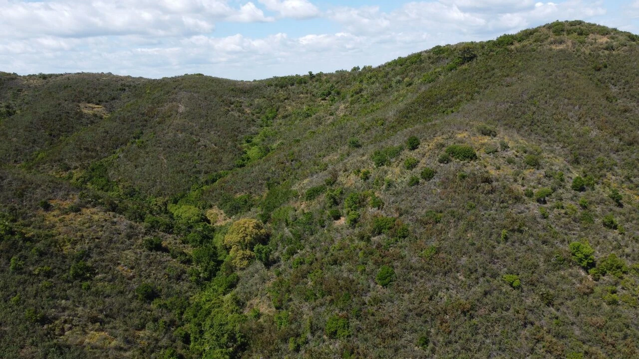 Terreno para Venda em São Marcos da Serra Foto 11