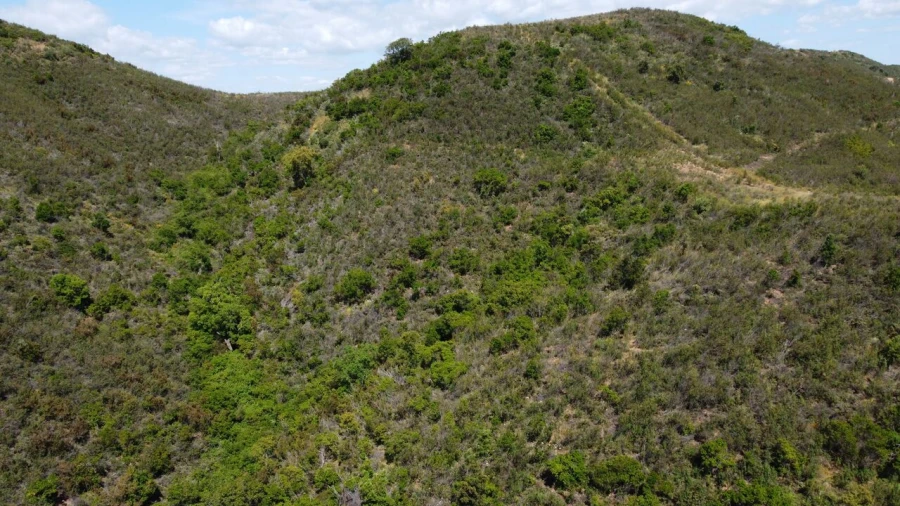 Terreno para Venda em São Marcos da Serra Foto 10