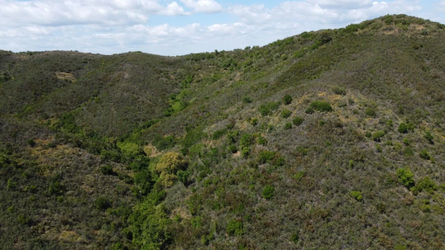 Terreno para Venda em São Marcos da Serra Foto 11