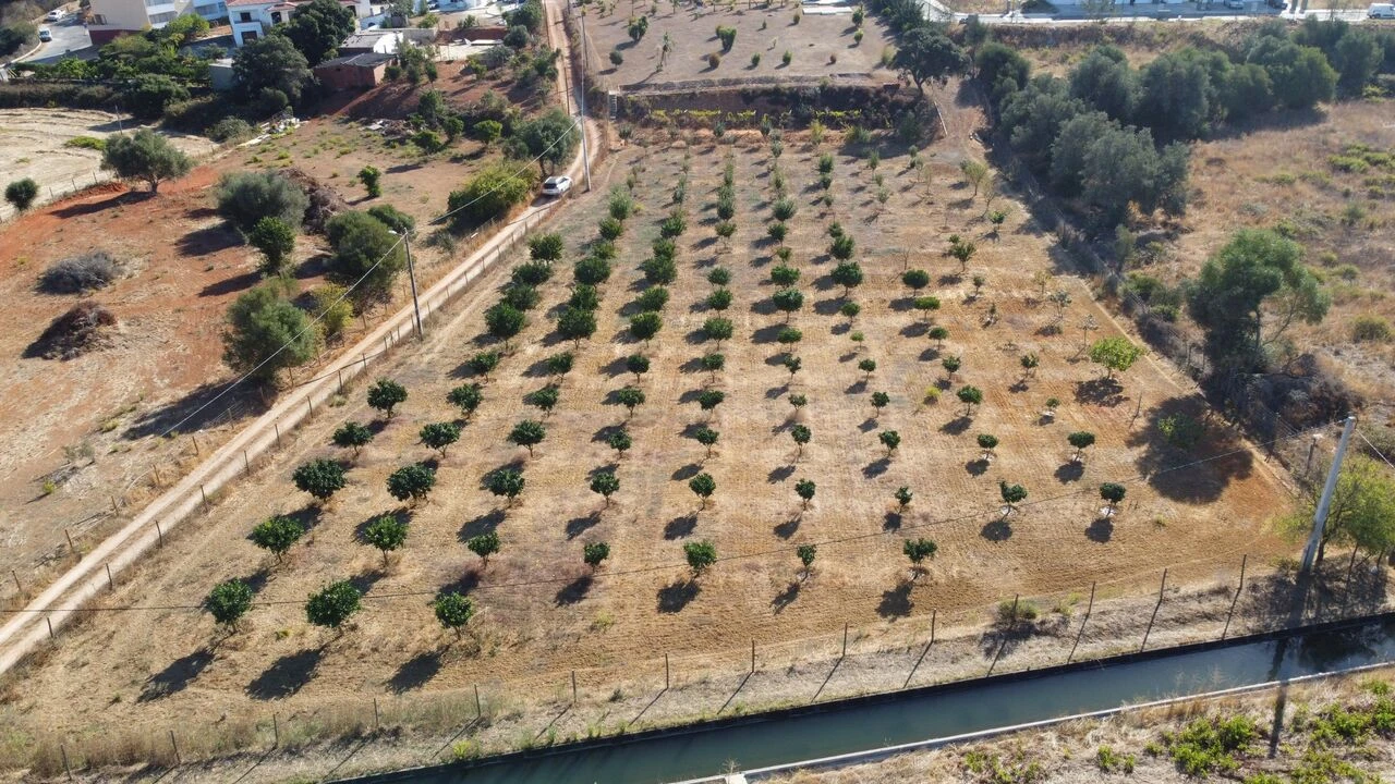 Terreno para Venda em Odiaxere Foto 12