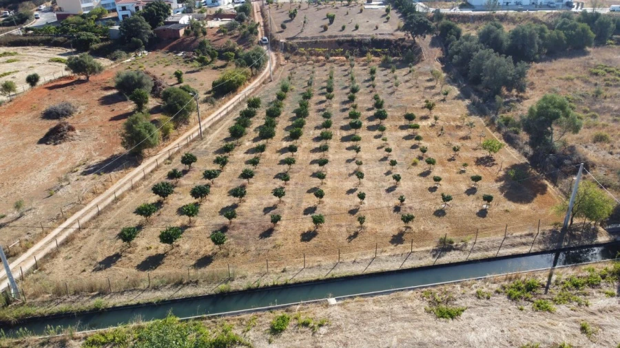 Terreno para Venda em Odiaxere Foto 3