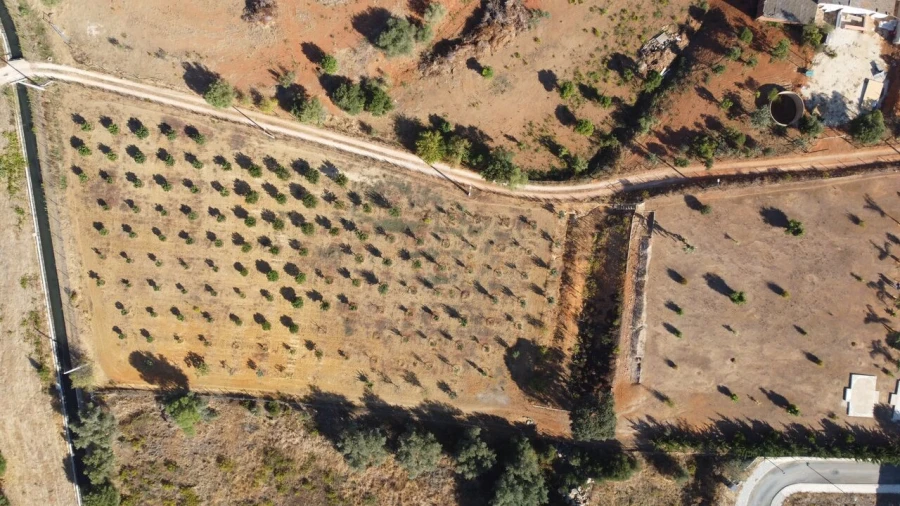 Terreno para Venda em Odiaxere Foto 18