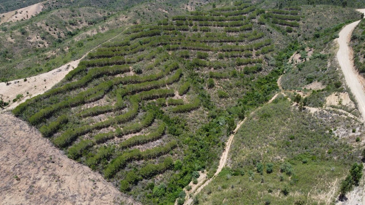 Terreno para Venda em São Bartolomeu de Messines Foto 1