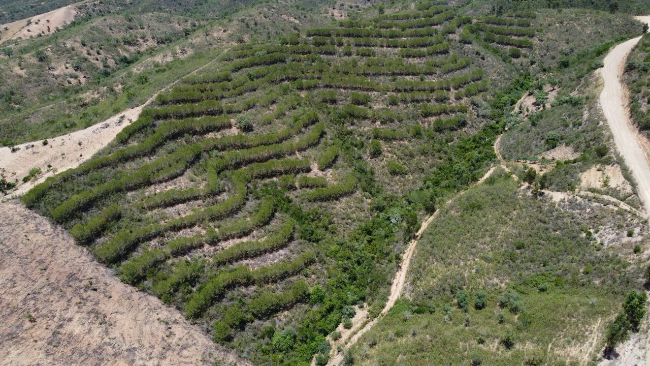 Terreno para Venda em São Bartolomeu de Messines Foto 11