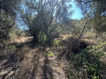 Terreno para Venda em São Bartolomeu de Messines