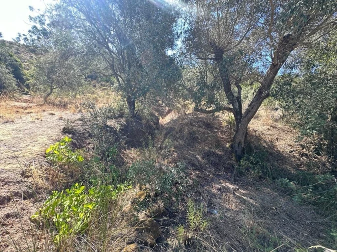 Terreno para Venda em São Bartolomeu de Messines Foto 14