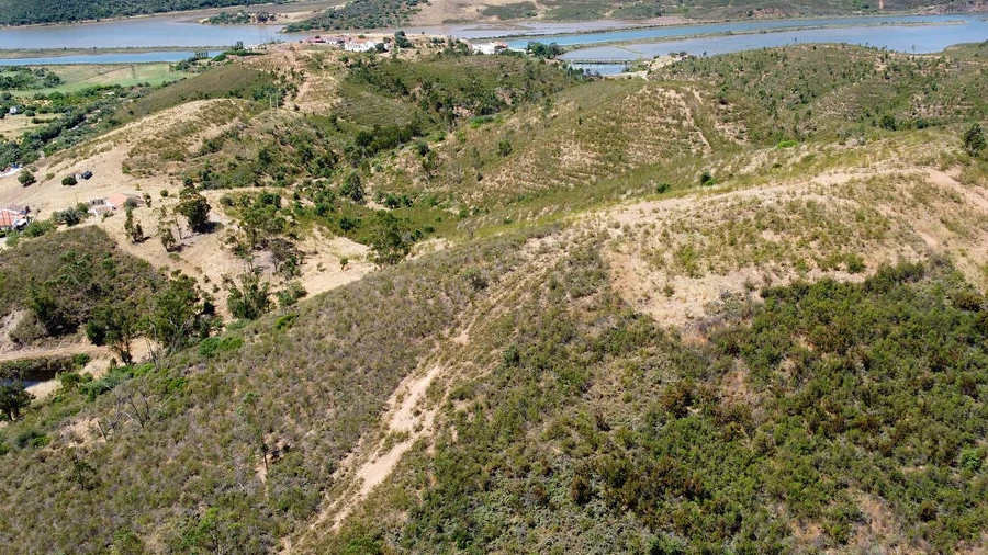 Quinta T6 para Venda em Silves