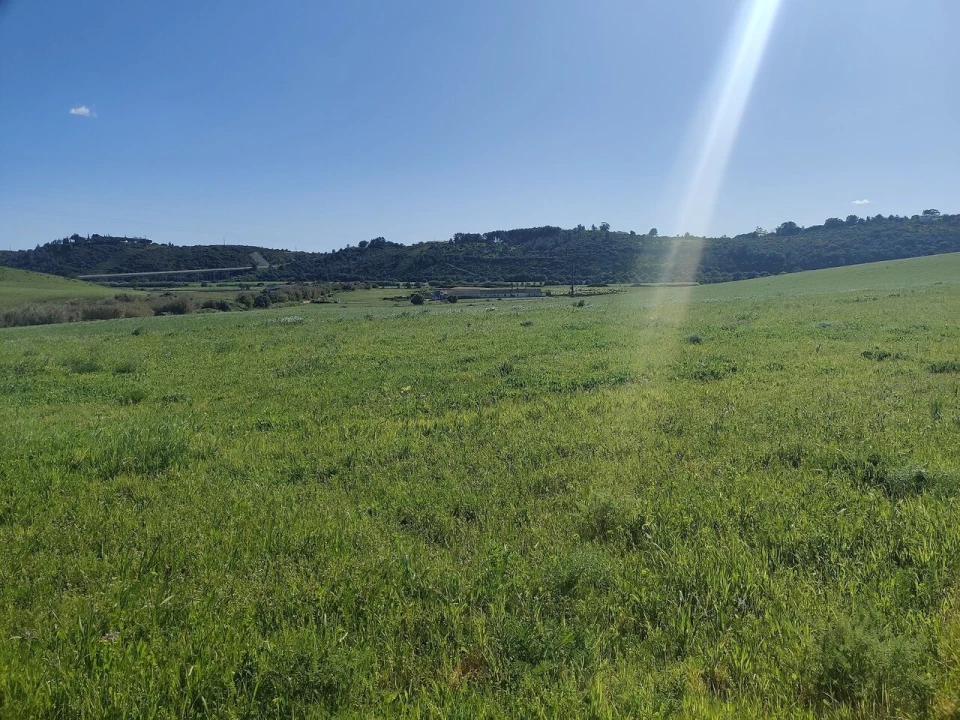 Terreno para Venda em Bensafrim e Barão de São João Foto 1
