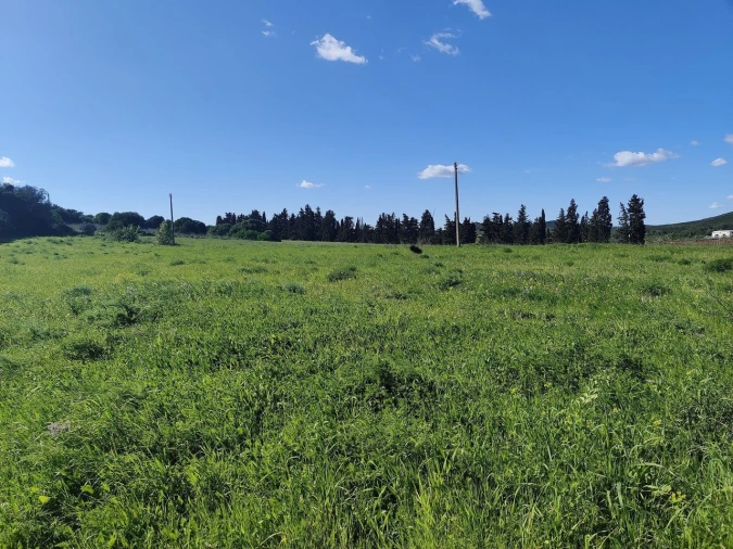 Terreno para Venda em Bensafrim e Barão de São João Foto 2