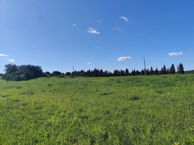 Terreno para Venda em Bensafrim e Barão de São João Foto 4