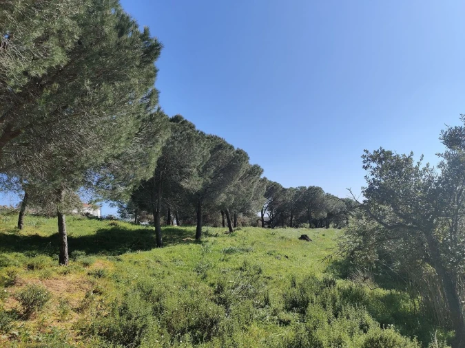 Terreno para Venda em Bensafrim e Barão de São João Foto 3