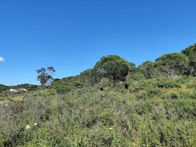 Terreno para Venda em Bensafrim e Barão de São João Foto 4