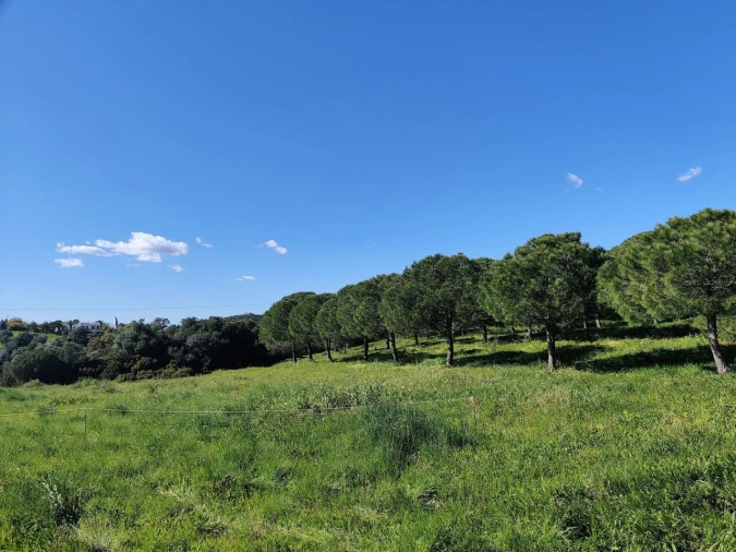 Terreno para Venda em Bensafrim e Barão de São João Foto 6