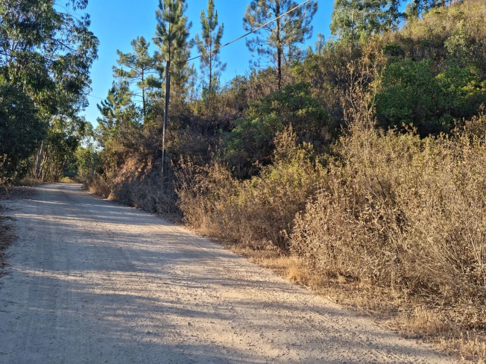 Terreno para Venda em Marmelete Foto 4