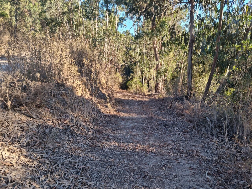 Terreno para Venda em Marmelete Foto 6