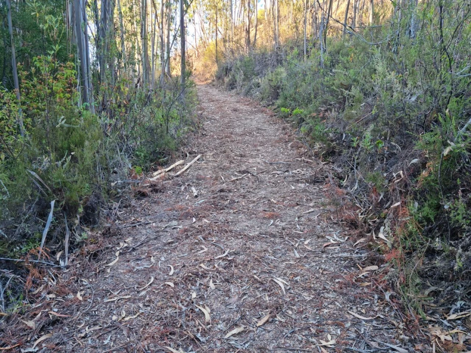 Terreno para Venda em Marmelete Foto 8