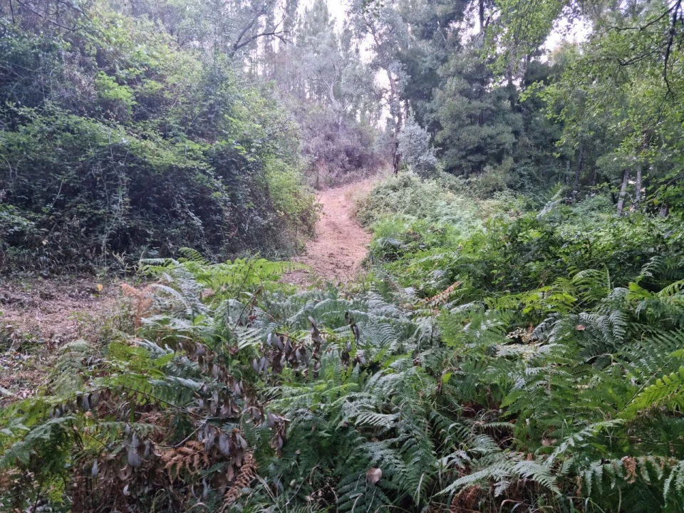 Terreno para Venda em Marmelete Foto 16