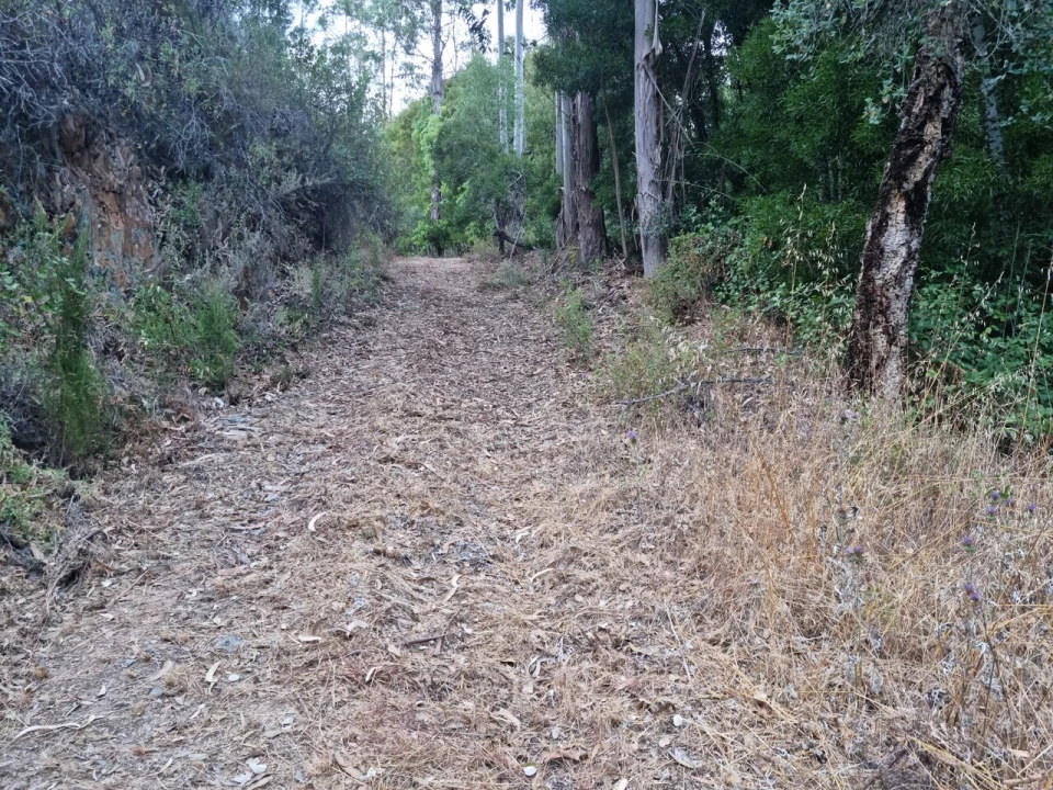 Terreno para Venda em Marmelete Foto 17